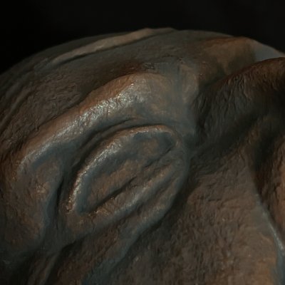 Extreme close-up focusing on the left eye and heavy brow ridge texture.